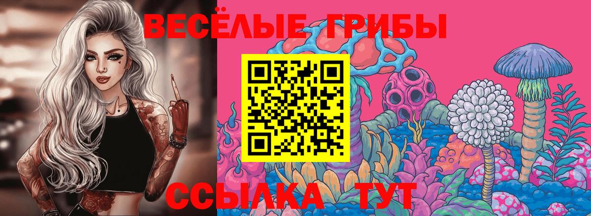 Галлюциногенные грибы мицелий Ливны