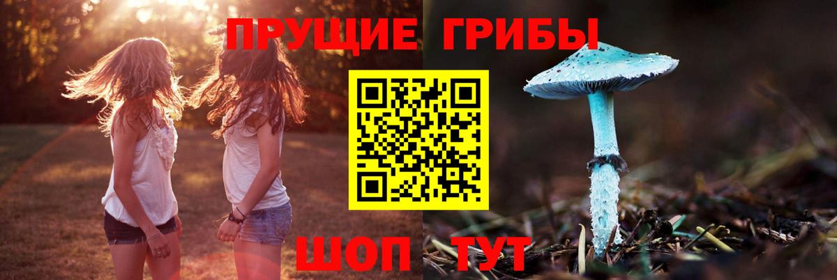Галлюциногенные грибы Psilocybe  где продают   Ливны  Вход с VPN 